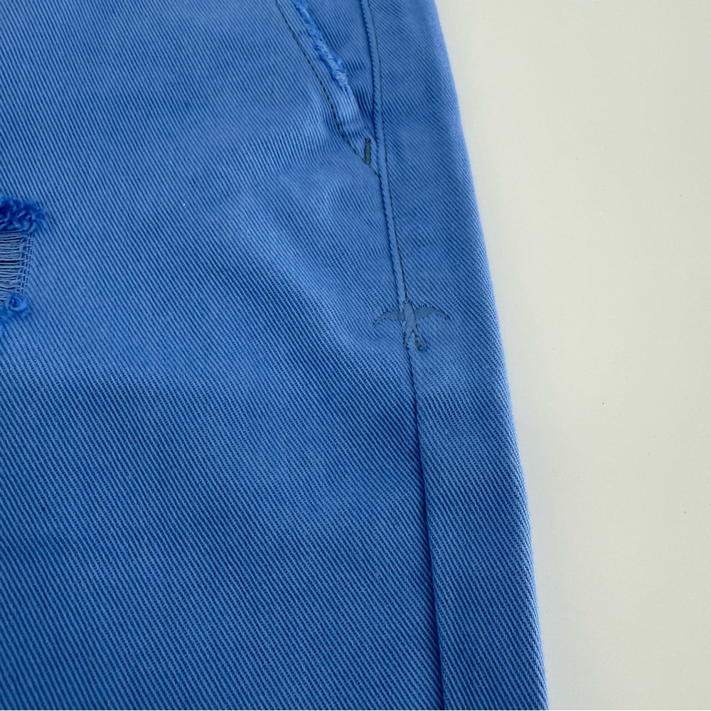 Serra Blue Jean Shorts with Frayed Edges - Picture 4 of 11
